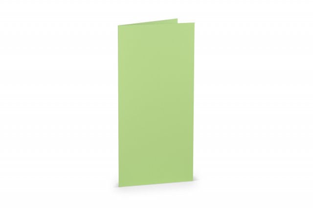 Carte pieghevoli DIN lungo, verde menta