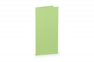 Carte pieghevoli DIN lungo, verde menta