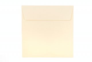 Buste quadrate 160x160 mm, crema